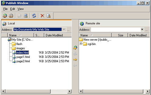 Publish Window