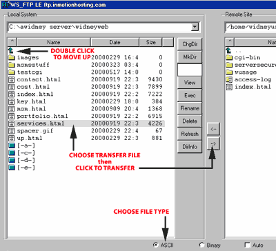 Local System and Remote Site